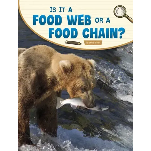 Is It a Food Web or a Food Chain?