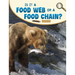 Is It a Food Web or a Food Chain?