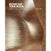 Koichi Takada: Architecture, Nature, and Design