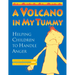 A Volcano in My Tummy: Helping Children to Handle Anger