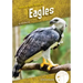 Eagles