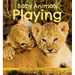 Baby Animals Playing