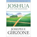 Joshua and the Shepherd