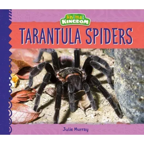 Tarantula Spiders