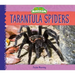 Tarantula Spiders