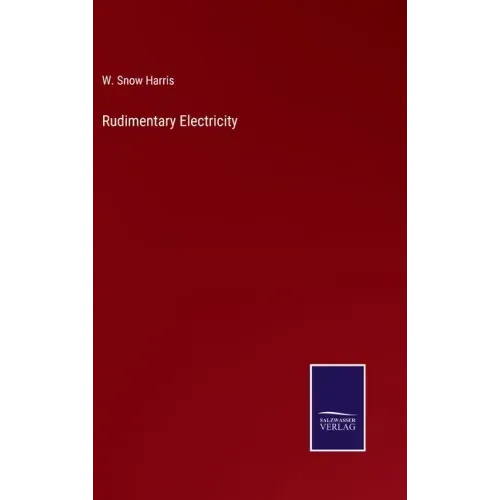 Rudimentary Electricity