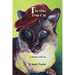 The One True Cat a Memoir with Cats