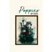 Poppies