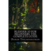 Blender 3D For Beginners: The Complete Guide: The Complete Beginner's Guide to Getting Started with Navigating, Modeling, Animating, Texturing,