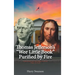 Thomas Jefferson's "We Little Book" Purified by Fire
