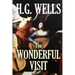 The Wonderful Visit