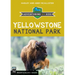 Yellowstone National Park: Adventuring with Kids