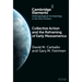 Collective Action and the Reframing of Early Mesoamerica