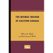 The Micmac Indians of Eastern Canada