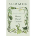 Summer - From the Journal of Henry David Thoreau