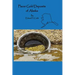 Placer Gold Deposits of Alaska