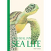 Australian Sea Life