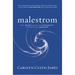 Malestrom: Manhood Swept Into the Currents of a Changing World