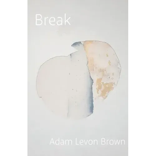 Break: poems on mental illness