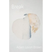 Break: poems on mental illness