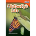 A Butterfly's Life