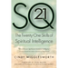SQ21: The Twenty-One Skills of Spiritual Intelligence
