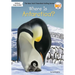 Where Is Antarctica?