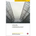 Visual Criminology