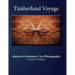 Timberland Voyage: Tree Abstract & Symmetry Art Photography