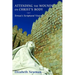 Attending the Wounds on Christ's Body: Teresa's Scriptural Vision
