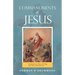 Commandments of Jesus: "Teaching Them to Observe All Things That I Have Commanded You ..."