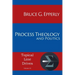 Process Theology and Politics