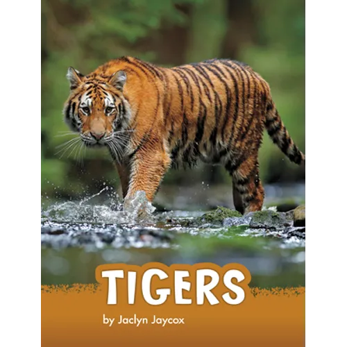 Tigers