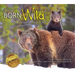 Born Wild 2: In Yellowstone and Grand Teton National Parks