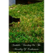 Catholic Teaching On The Morality Of Euthanasia