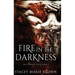 Fire In The Darkness