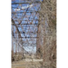 The Bridge