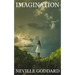 Imagination