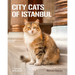 City Cats of Istanbul