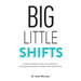 Big Little Shifts: A Practitioner's Guide to Complexity for Organisational Change and Adaptation