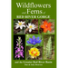 Wildflowers and Ferns of Red River Gorge and the Greater Red River Basin