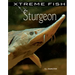 Sturgeon