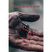 A Butterfly With Teeth