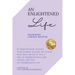 An Enlightened Life: 11 Inspirational Stories From Women Around The World Who Have Dared To Live A Life of Insightfulness And Clarity And Live An Enli