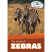 The World of Zebras