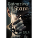 Gathering Storm