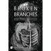 Broken Branches: A Philosophical Introduction to the Social Reproductions of Oppression from an Intersectional Feminist Perspective
