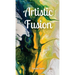Artistic Fusion
