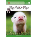 Pig-Piggy-Pigs