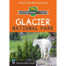 Glacier National Park: Adventuring with Kids